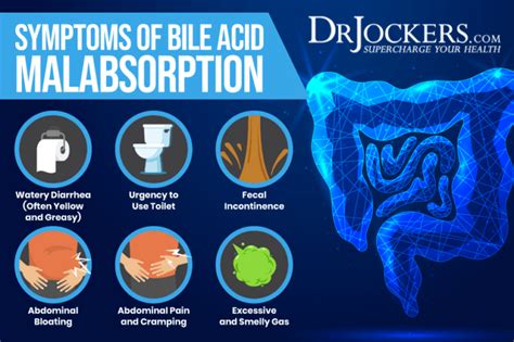 Excess bile acids trigger your colon to sec. . Why does bile acid malabsorption cause weight gain